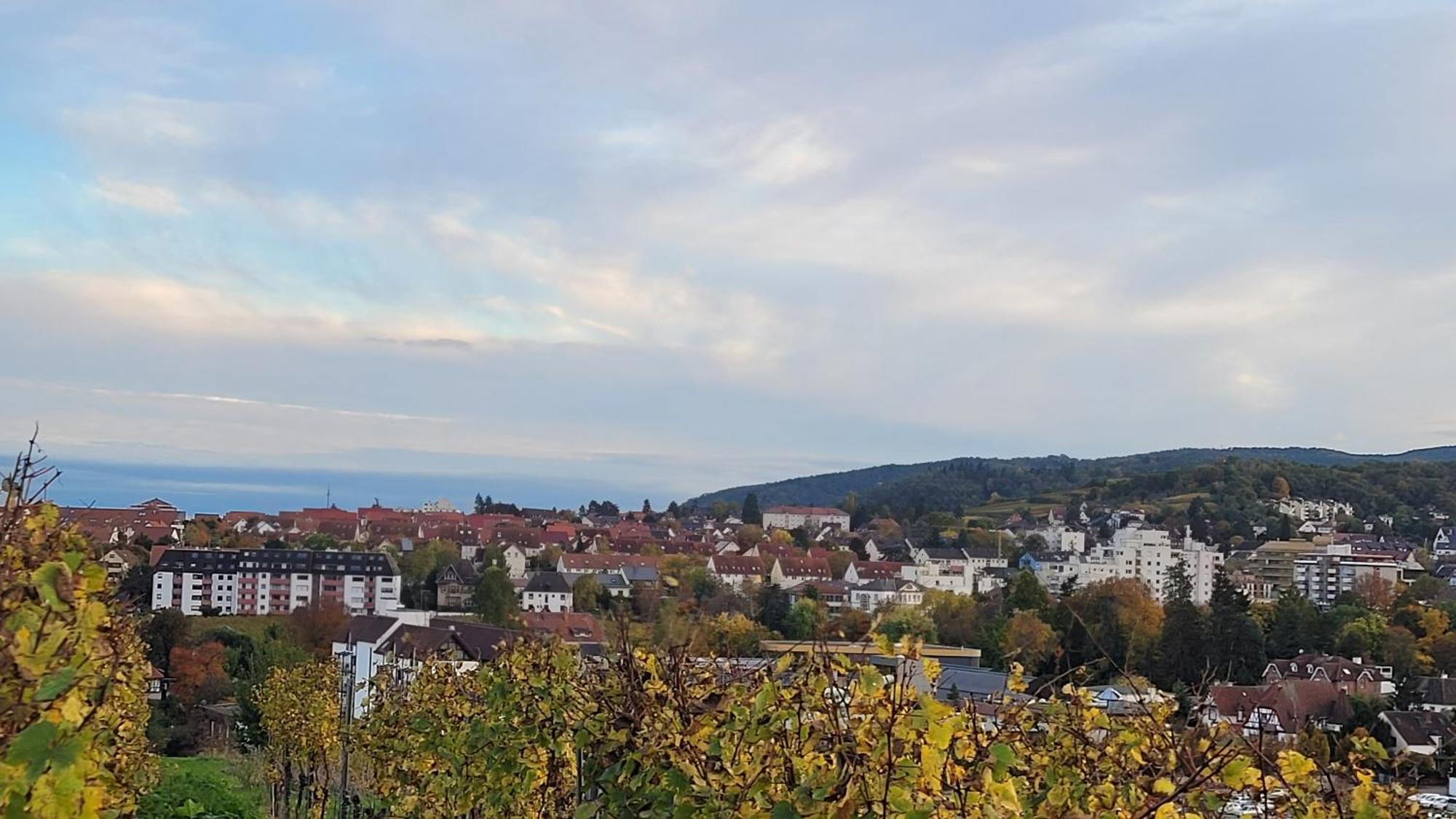 Ihr Bett Mit Blick Auf Die Weinberge Bad Duerkheim Exterior photo